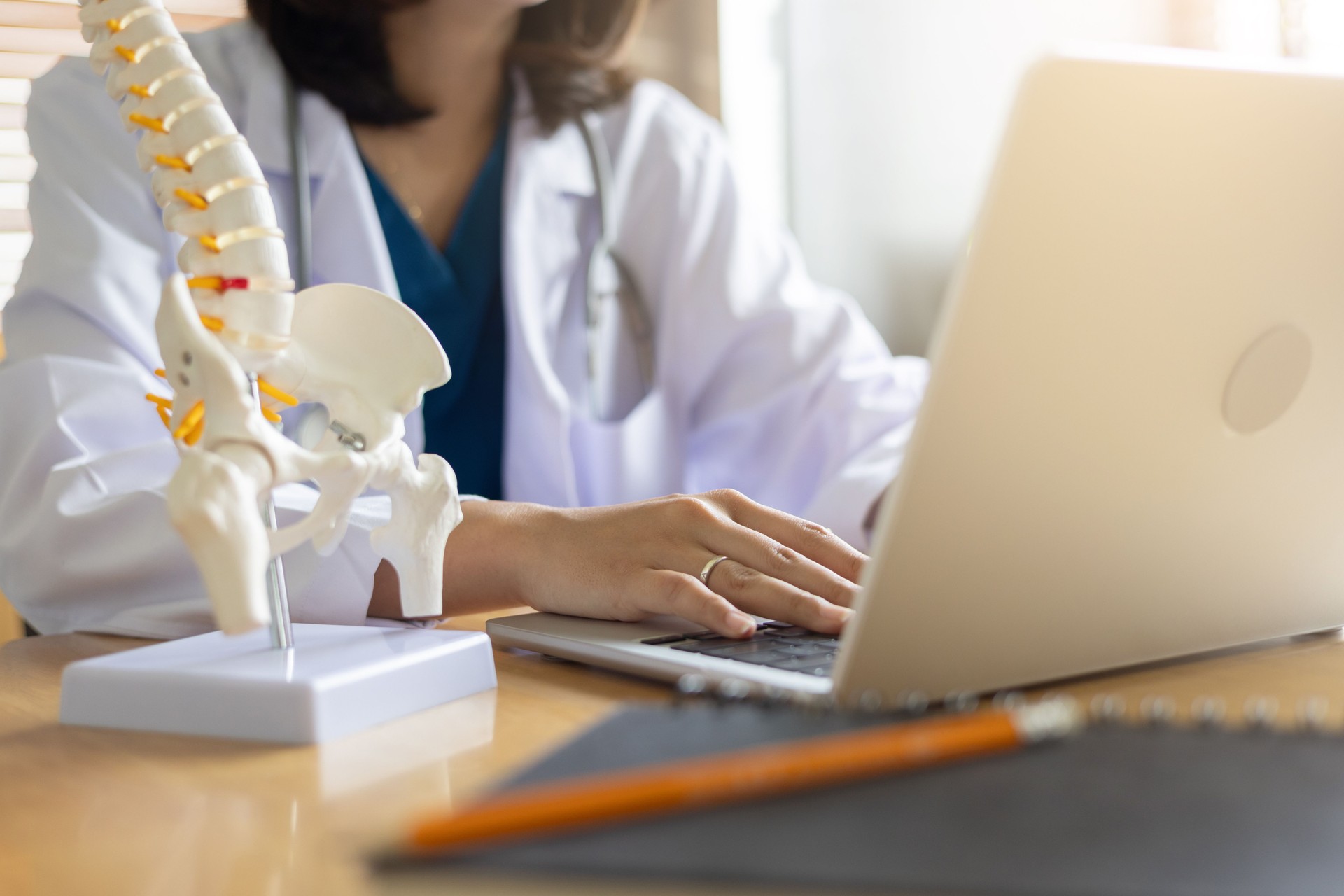 close up physical therapist type on laptop to search about patient's record with human skeleton anatomy at room for advice and consult of treatment for healthcare and telemedicine concept