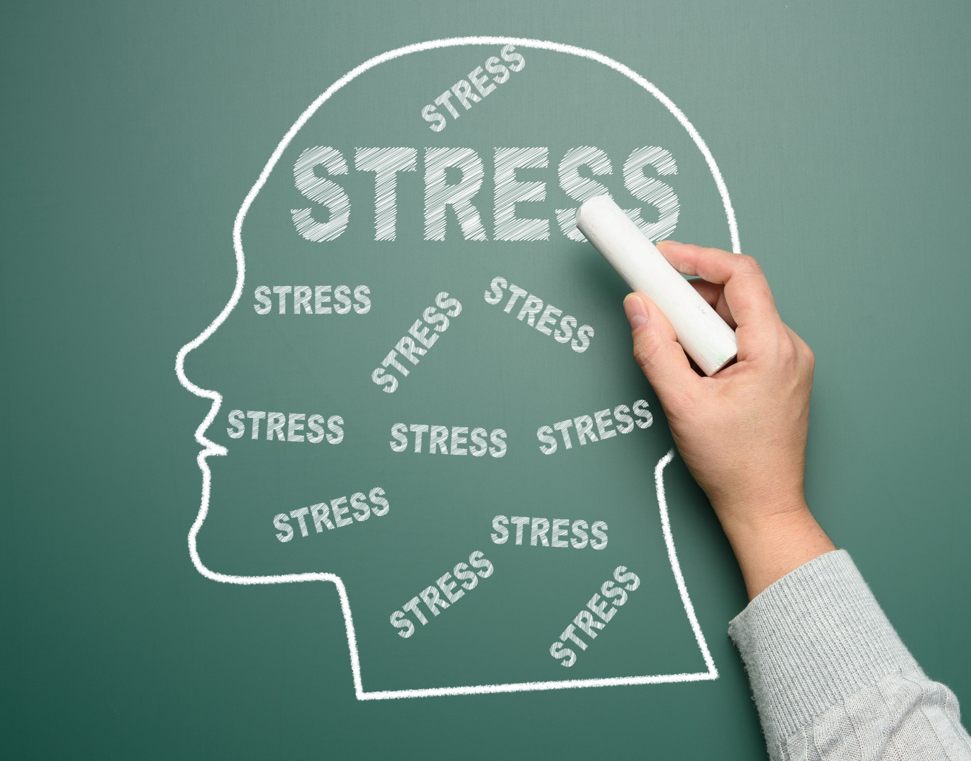 Chalk-drawn silhouette of a human head, a hand writing the word stress on a green chalkboard